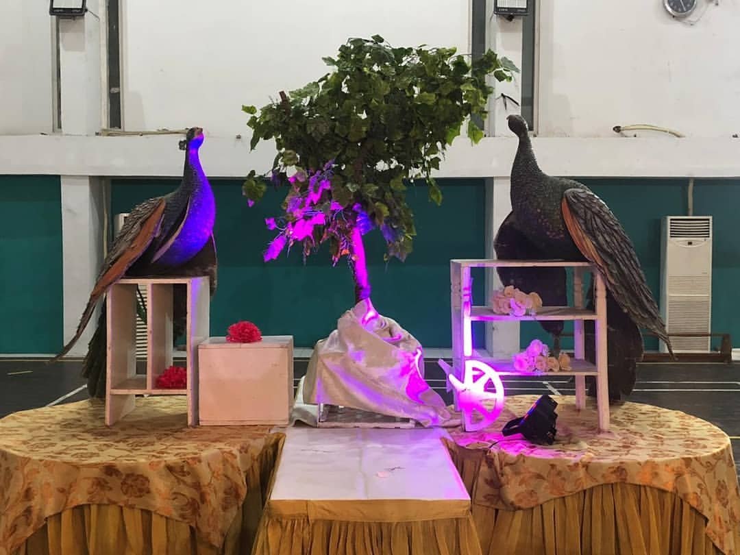Dokumentasi Wedding 27 10 2019 di Gelanggang Remaja Tambaksari oleh Jagarasa - foto 9
